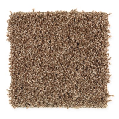 Mohawk Ideal Look Copper Penny Collection