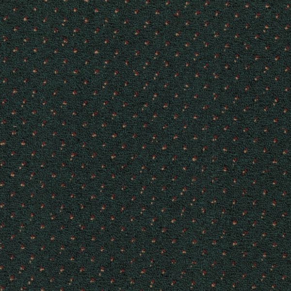 Mohawk Capital Port Belmont Green