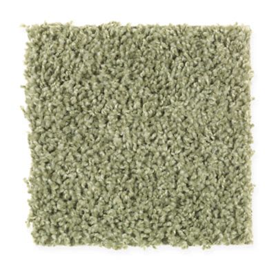 Mohawk Deliberate Style Sweet Basil Collection