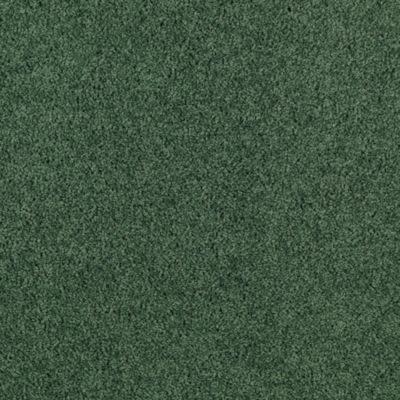 Mohawk Youthful Spirit Emerald Bay Collection