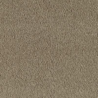Mohawk Classy Cove Dry Grass