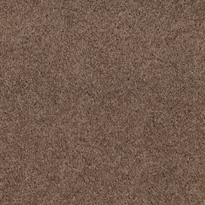 Mohawk Classy Cove Brown Thrasher Collection