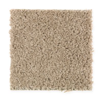 Mohawk Splurge Dried Herb