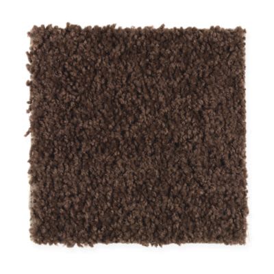Mohawk Covet Brown Bear Collection