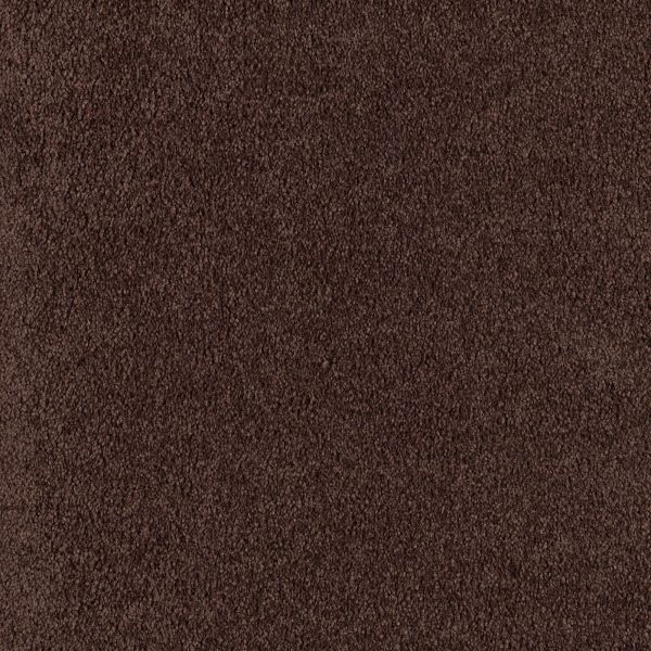 Mohawk Exotic Allure Espresso