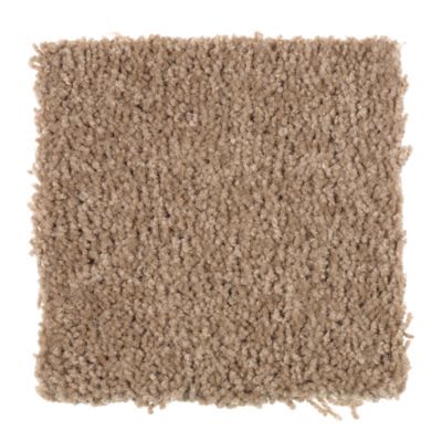 Mohawk Basic Desire Maple Wood Collection