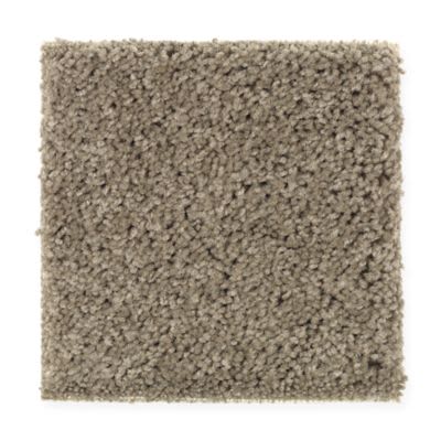 Mohawk Basic Desire Weathered Taupe Collection