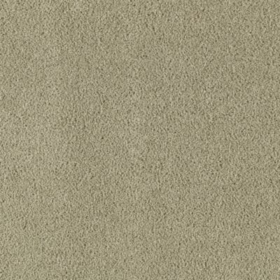 Mohawk Serene Forest New Spring Collection