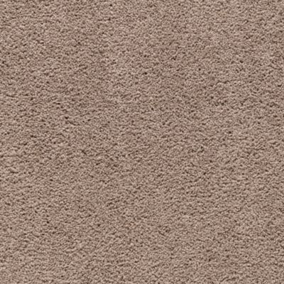 Mohawk Peaceful Mood Hazy Taupe Collection