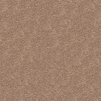 Mohawk Cozy Comfort Wildwood Collection