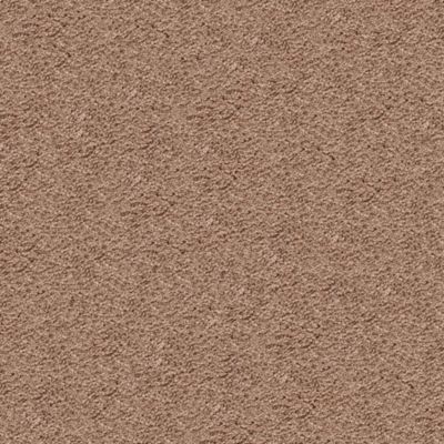 Mohawk Cozy Comfort Cedar Beige Collection