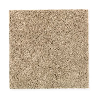 Mohawk Modern Attraction Harvest Straw Collection
