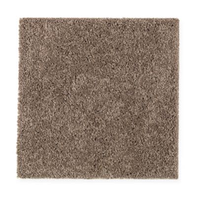 Mohawk Modern Attraction Hazy Taupe Collection