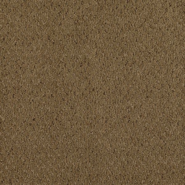 Mohawk Comfortably Classic Bronzewood Collection