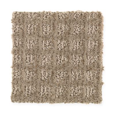 Mohawk Outside The Box Taupe Treasure Collection
