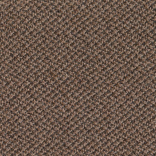 Mohawk Generator Charbrown Collection