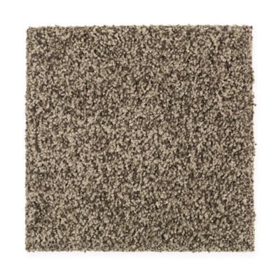 Mohawk Hidden Attraction Dried Moss Collection