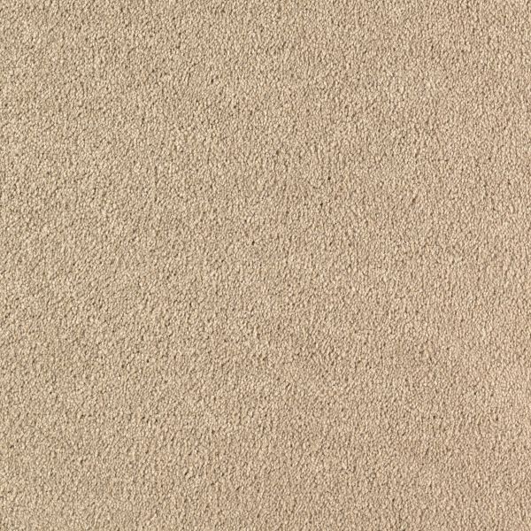 Mohawk Infinite Touch Contempo Collection