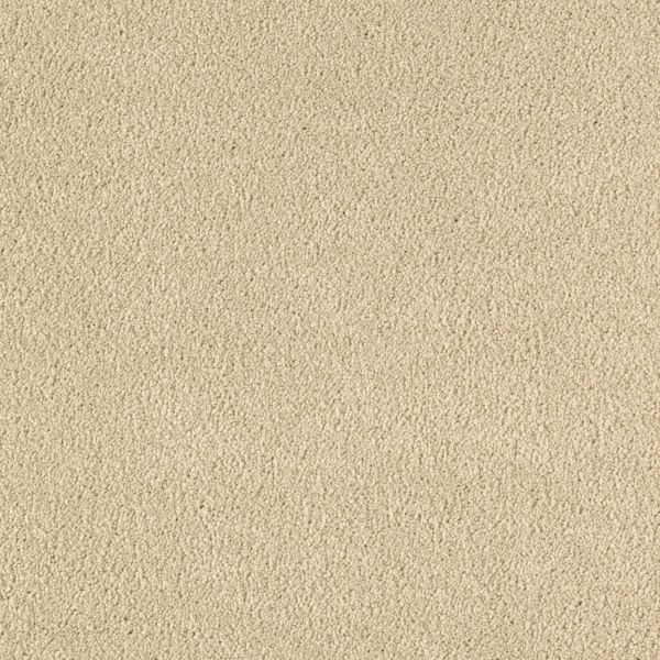 Mohawk Infinite Touch Desert Star Collection
