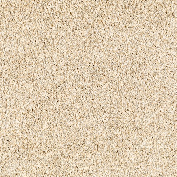 Mohawk Delightful Blend Vanilla Steam Collection