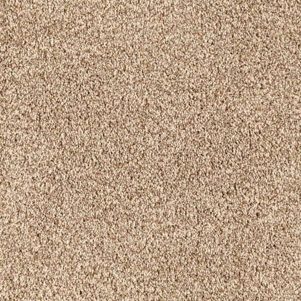 Mohawk Delightful Blend Terra Nueva Collection