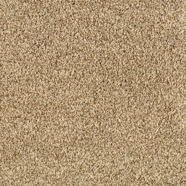 Mohawk Delightful Blend Rich Earth Collection