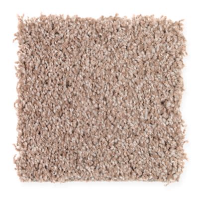 Mohawk Trendy Solution Biscotti Collection