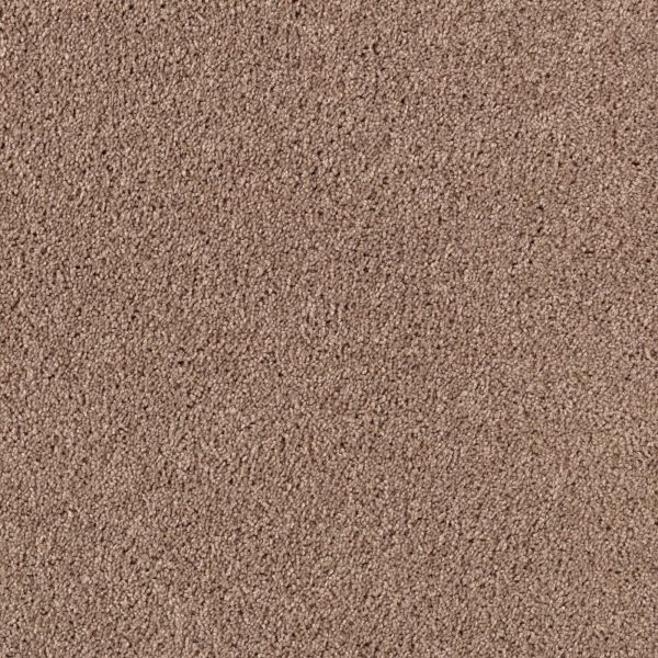 Mohawk City Shores Solid Neutral Ground Collection