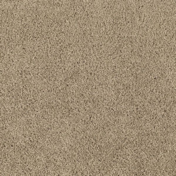 Mohawk Delightful Blend Perfect Taupe Collection