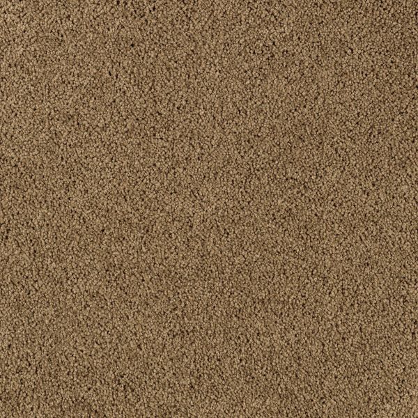 Mohawk Simply Irresist Solid Pine Cone