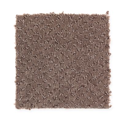 Mohawk Home Creation Velvet Brown Collection
