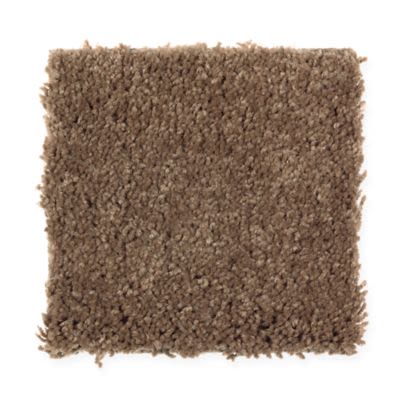 Mohawk Instantly Chic II Acorn Trail Collection