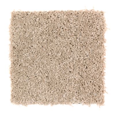 Mohawk Wise Choice Frosty Spice Collection