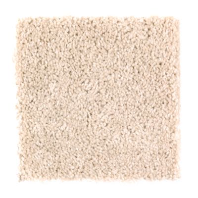 Mohawk Coral Key Shoreline Collection