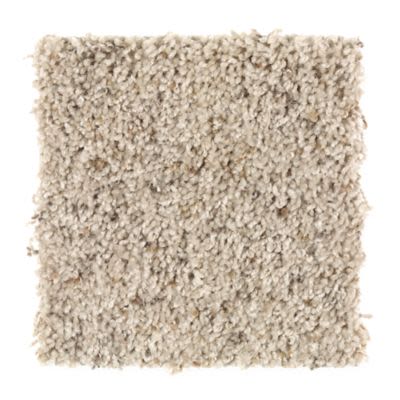 Mohawk Dune Walk Sand Dollar Collection