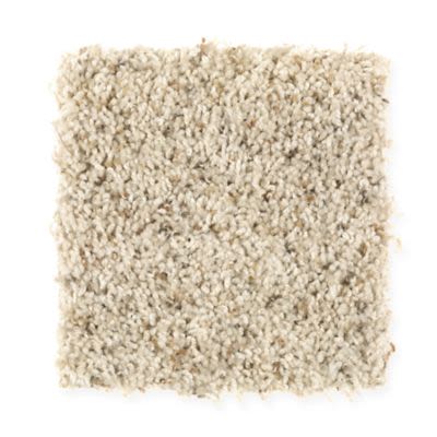 Mohawk Seaside Bliss Sand Dollar