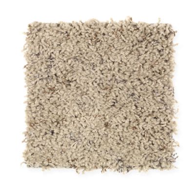 Mohawk Ideal Mate - Fleck Dry Branch
