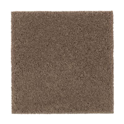 Mohawk Absolute Elegance II Rich Earth Collection