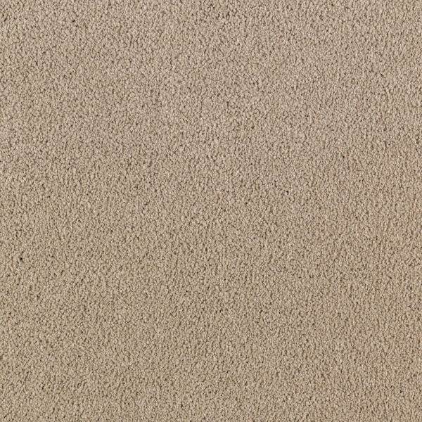 Mohawk Luxurious Beauty True Khaki Collection