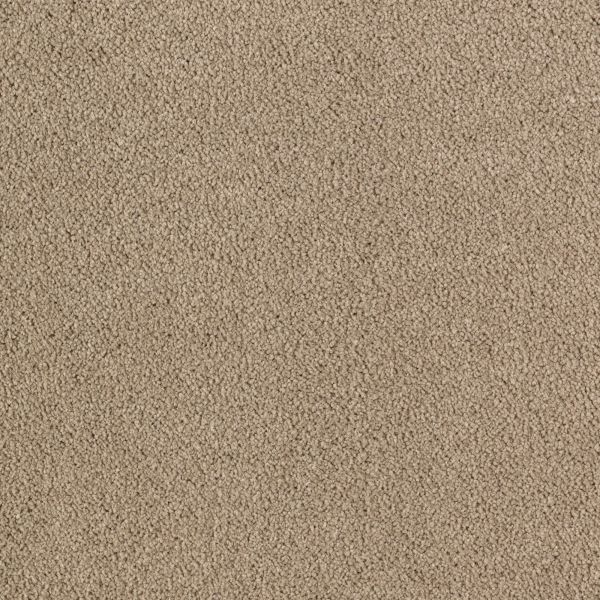 Mohawk Luxurious Beauty Easily Suede Collection