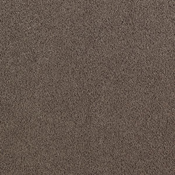 Mohawk Luxurious Beauty Brindle Collection
