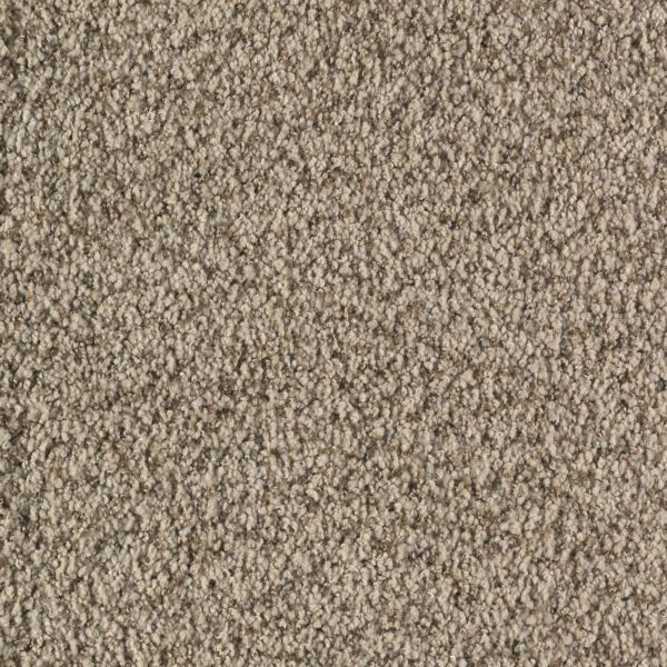 Mohawk Graceful Presence Spun Cotton