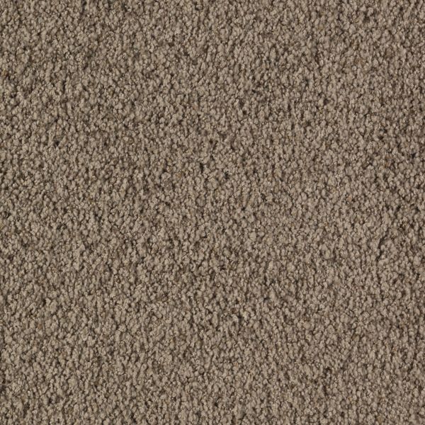 Mohawk Graceful Presence November Foliage Collection