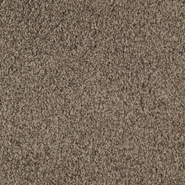 Mohawk Eloquent Charm Maple Buff Collection