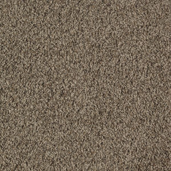 Mohawk Eloquent Charm Smoky Ash Collection