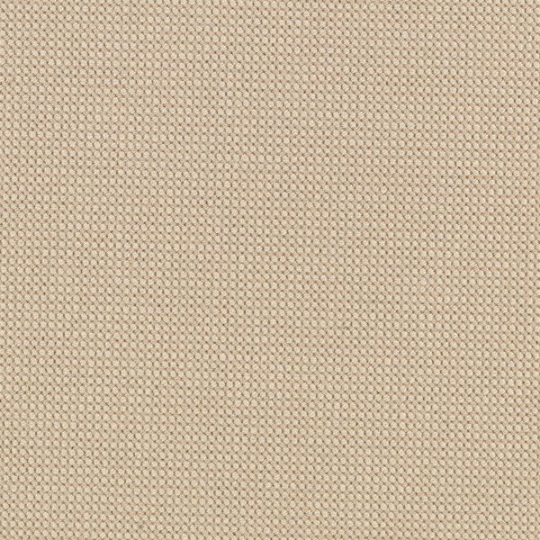 Mohawk Belize Vibrations Driftwood