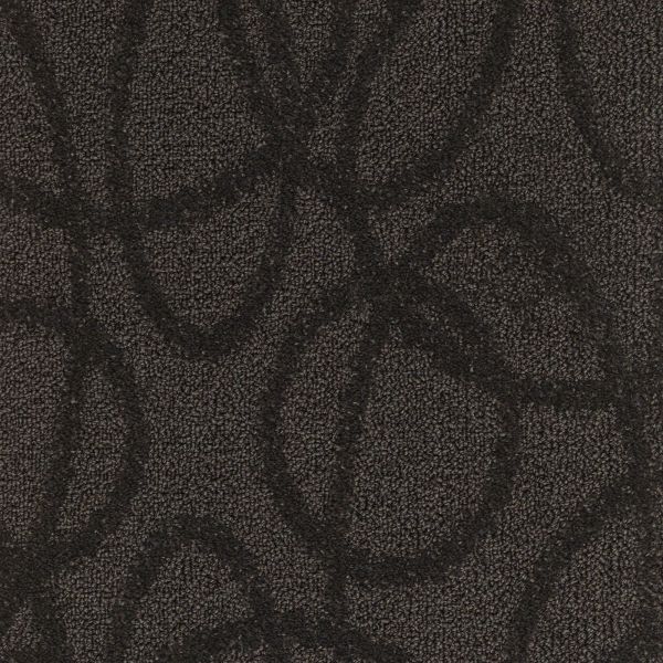 Mohawk Modern Aesthetic Fashion Retreat