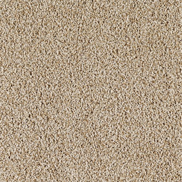 Mohawk Casa Bella Honey Cream