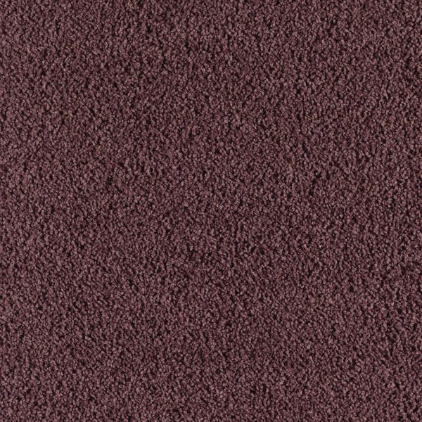 Mohawk Wish Come True Roaring Raisin Collection