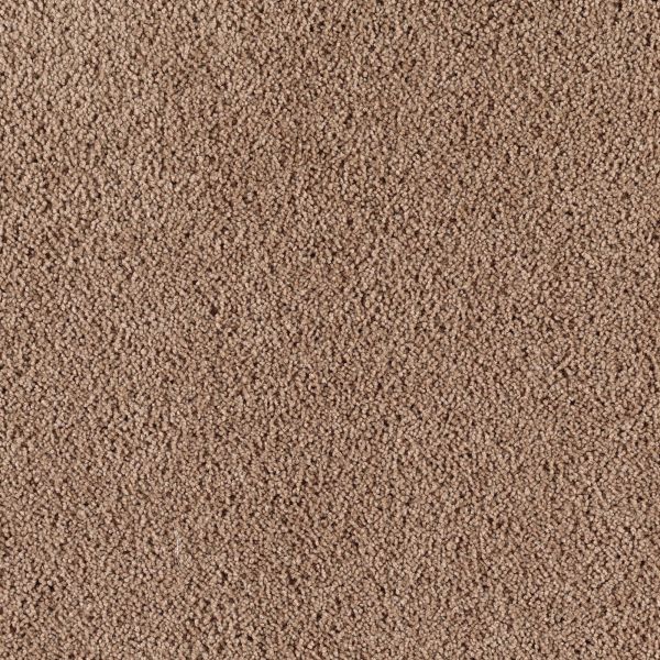 Mohawk Wish Come True Captivating Clay Collection